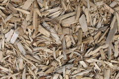 biomass boilers Rescassa